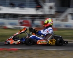 17CIKEurSarno2432B