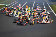 CIK-FIA Kart Europameisterschaft PFI (GBR) 17.05.-20.05.2018